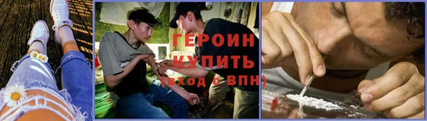 прущие крисы Гвардейск