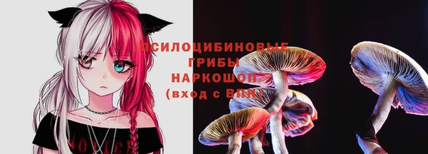 дживик Абаза