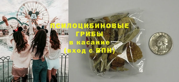 дживик Абаза