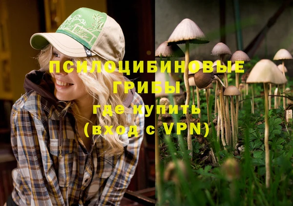 дживик Абаза